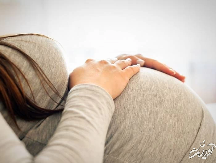 جینسینگ در بارداری 